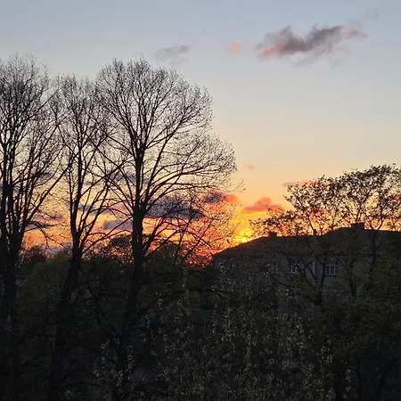 Sunset *